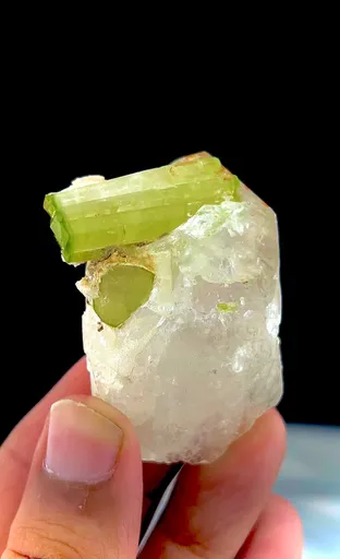 specimen video
