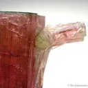 Tourmaline - image 4