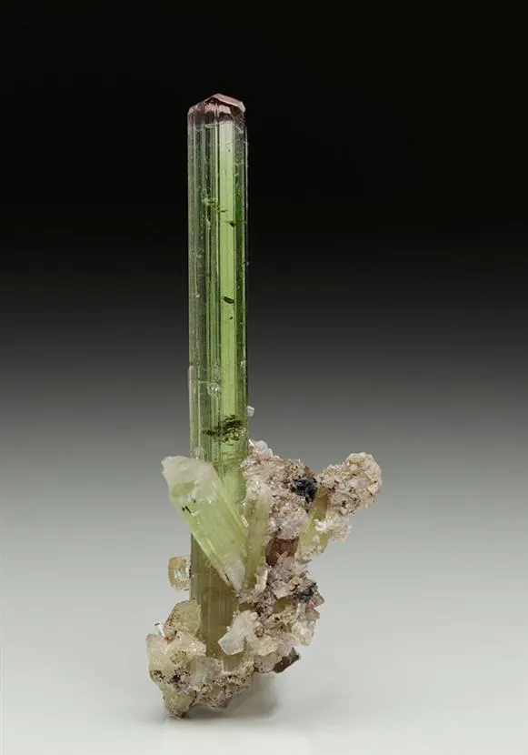 Tourmaline (Elbaite) image