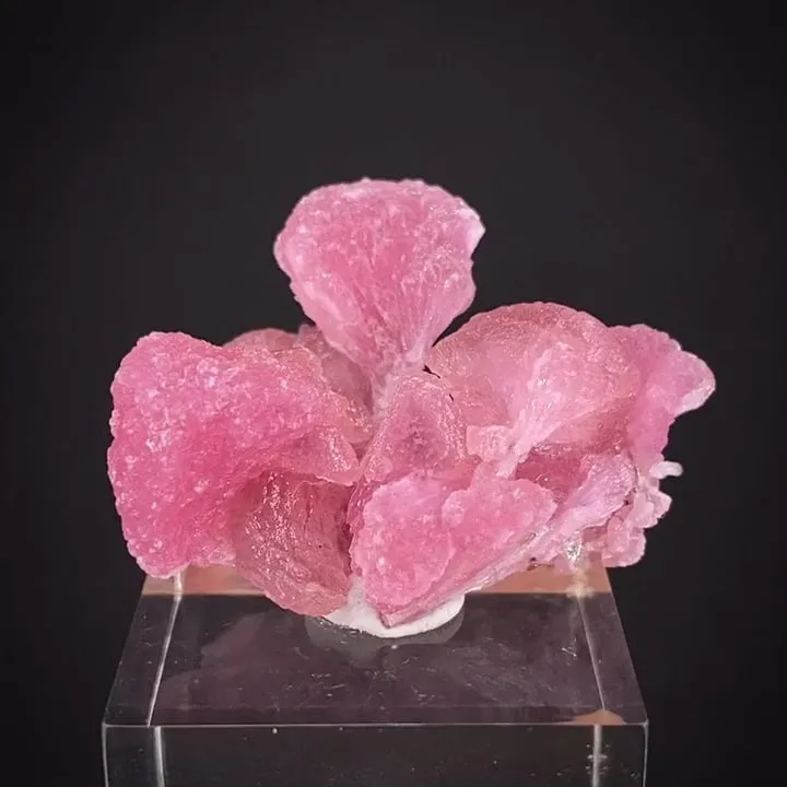 Tourmaline (Elbaite, Olenite) image