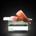 Tourmaline Elbaite on Microcline - image 3