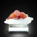 Tourmaline Elbaite on Microcline - image 1