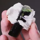 Tourmaline (Elbaite) with Cleavelandite - image 2