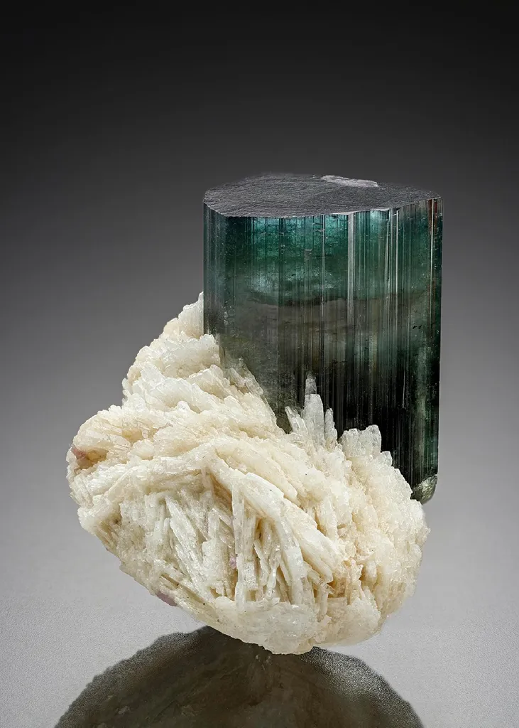 Tourmaline (Elbaite) with Cleavelandite image