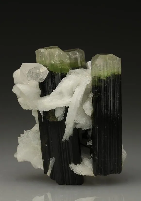 Tourmaline (Elbaite) with Cleavelandite image