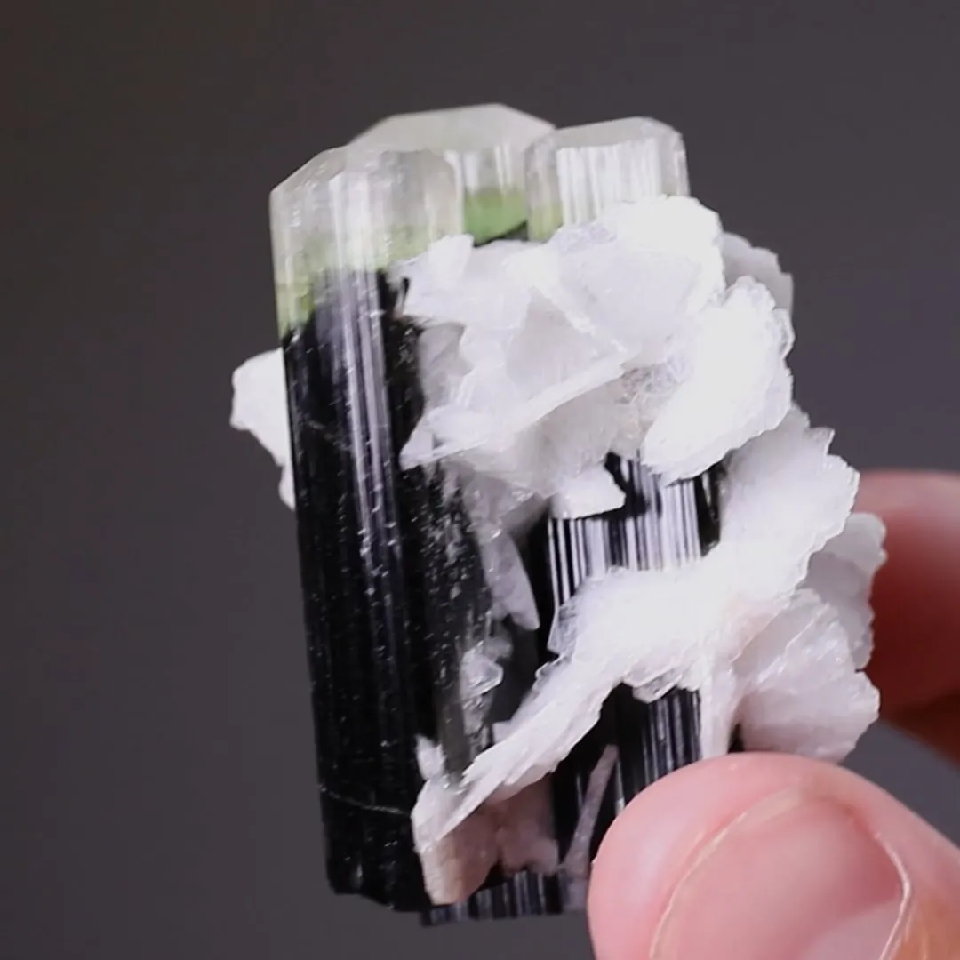 Tourmaline (Elbaite) with Cleavelandite - image 2