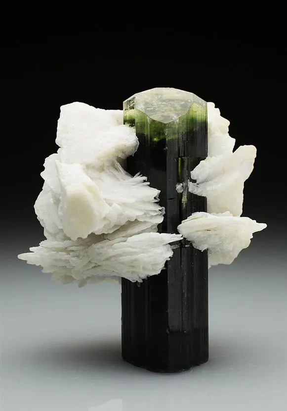 Tourmaline (Elbaite) with Cleavelandite - image 1