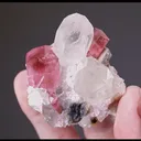 Tourmaline (Elbaite) with Quartz and Microcline - image 2