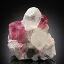 Tourmaline (Elbaite) with Quartz and Microcline - image 1