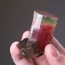 Tourmaline (Elbaite) with Smoky Quartz - image 2
