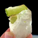 Tourmaline - image 7