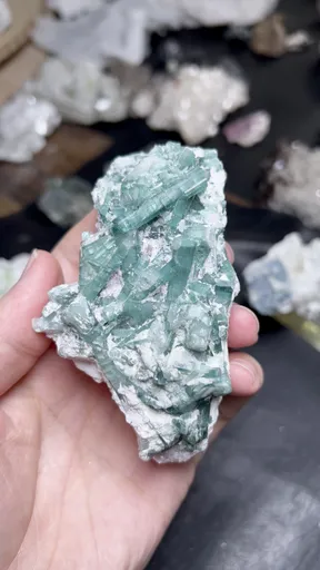 specimen video