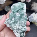 specimen video