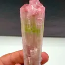 specimen video