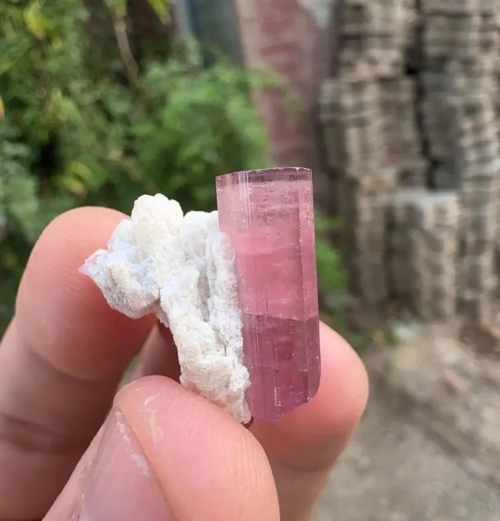 Tourmaline from Afghanistan - image 4