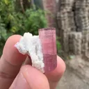 Tourmaline from Afghanistan - image 4