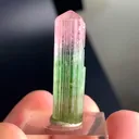 specimen video