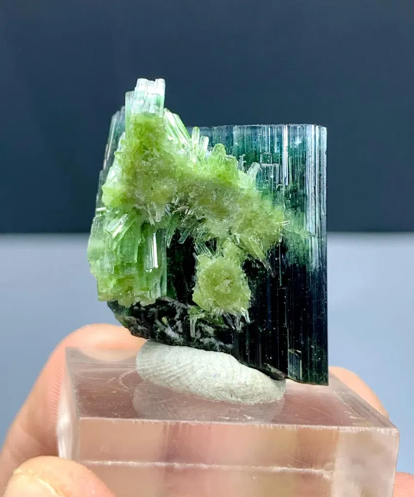 Tourmaline from Afghanistan - image 6