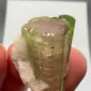 Tourmaline from Afghanistan - image 2