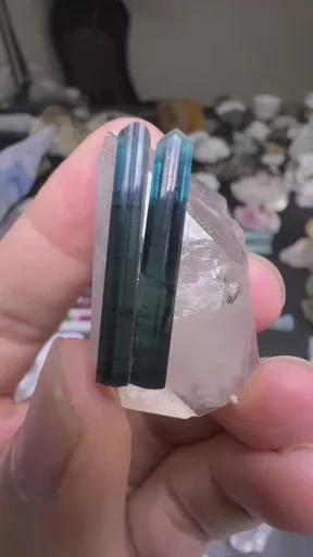 specimen video