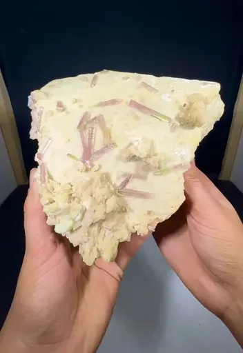 specimen video