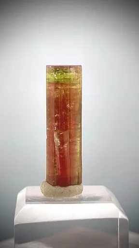 specimen video