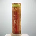 specimen video