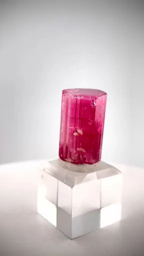 specimen video