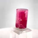 specimen video