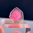 specimen video