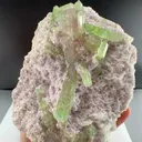 specimen video