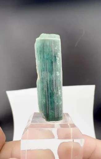 specimen video