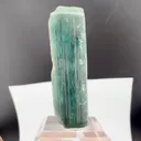 specimen video