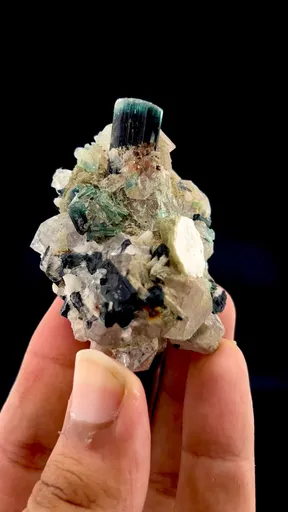 specimen video