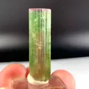 specimen video
