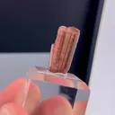 specimen video