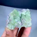 specimen video