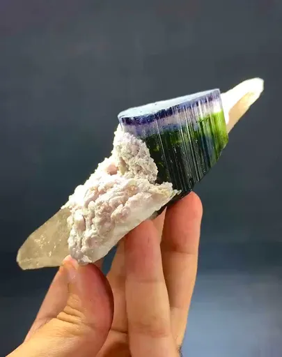 specimen video