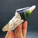 specimen video