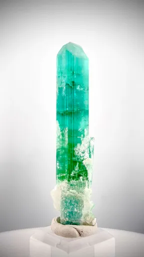 specimen video