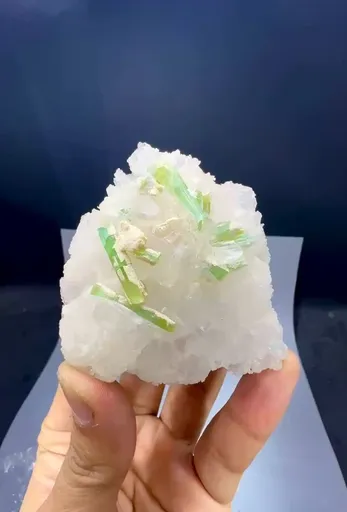 specimen video