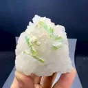 specimen video