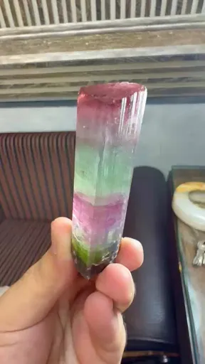 specimen video