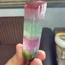 specimen video