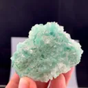 specimen video