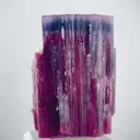 specimen video