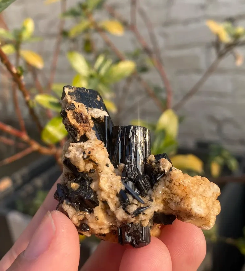 Tourmaline from Afghanistan - image 3