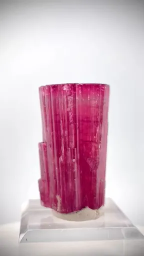 specimen video
