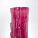 specimen video
