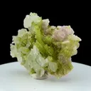 specimen video